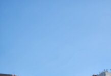 ‘2024 고양 동물교감치유 문화제’ 개최