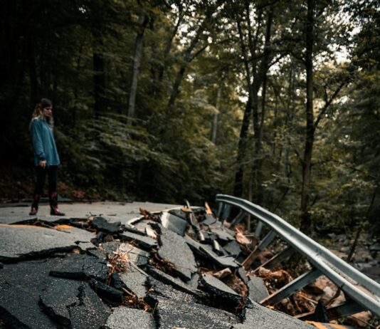 “환경피해예방 및 피해자 배상 강화”…제4기 환경책임보험 출범 man in blue jacket and blue denim jeans walking on brown wooden bridge during daytime