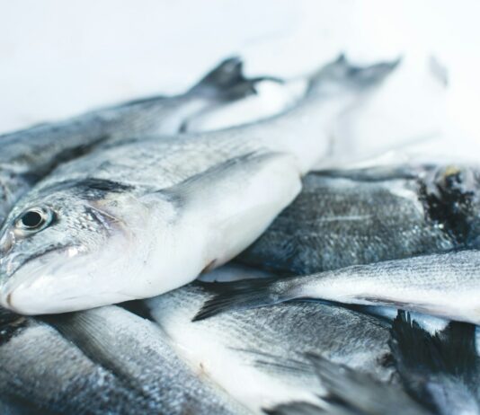 수입 수산물 원산지표시 특별점검 실시 pile of gray fishes