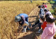 경기도농수산진흥원, 경기도민텃밭에서 ‘어린이 가을잔치’ 개최