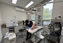 반려동물 진료비…10월부터 치료 목적 100여개 항목 부가세 면제