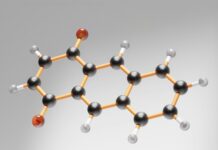 “스트레스 받으면 위장이 먼저 반응해요”…’마음이 배로 간다’는 과학적 이유 an image of a structure that looks like a structure