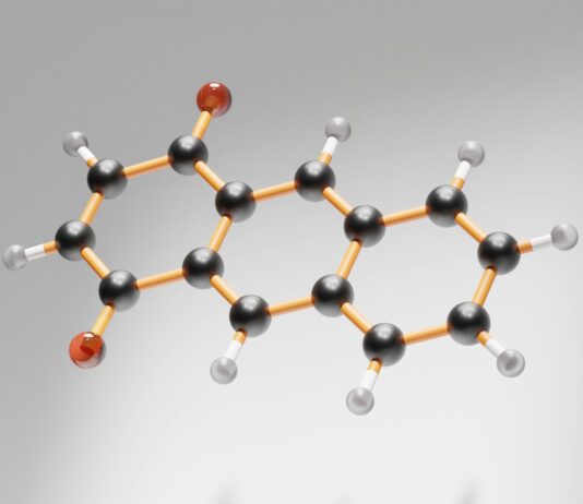 “스트레스 받으면 위장이 먼저 반응해요”…’마음이 배로 간다’는 과학적 이유 an image of a structure that looks like a structure